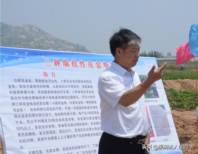 蚜虫防治药剂分析科学选择,小虫之王蚜虫怎么防