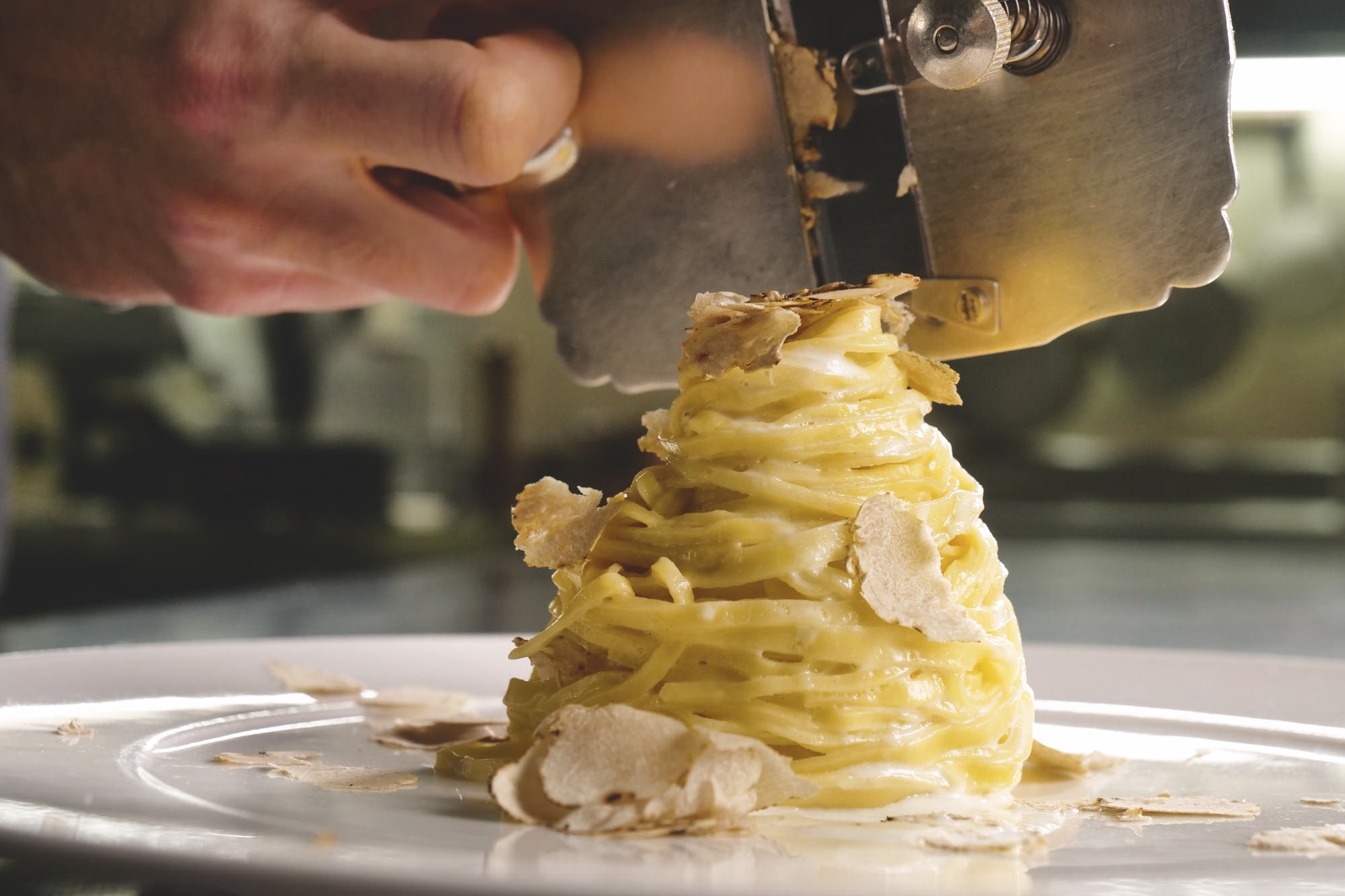 世界上最贵的食物松露,世界上最贵的食材松露