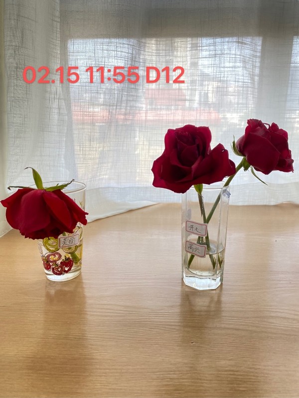 无形决定有形的说法,无形决定有形