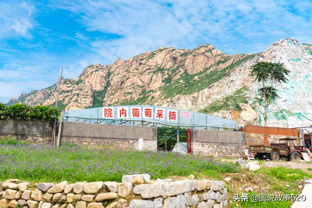 河北葡萄县，名气没*疆新**吐鲁番大，村民自称中国30%干红酒出自这