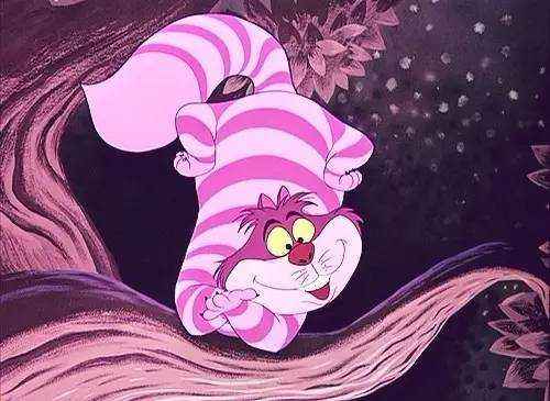 十大名猫动漫,动漫排行榜前十名京剧猫