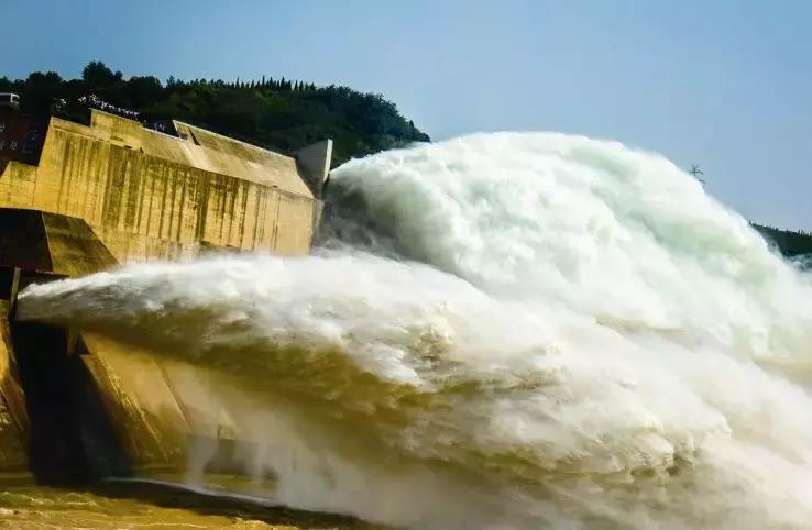 洛阳牡丹花会邀请,洛阳邀请全世界人民看牡丹