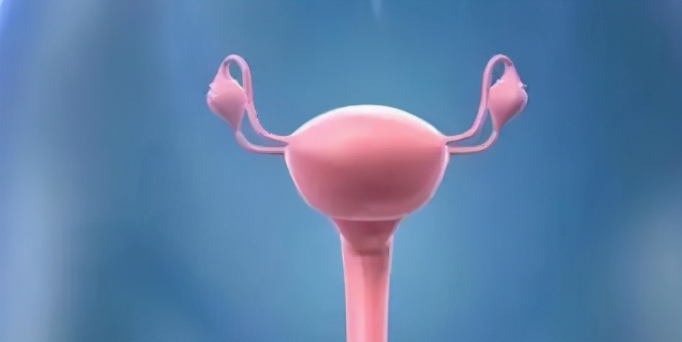 妇科专家给女性的基本常识,妇科医生告诉你这五件事