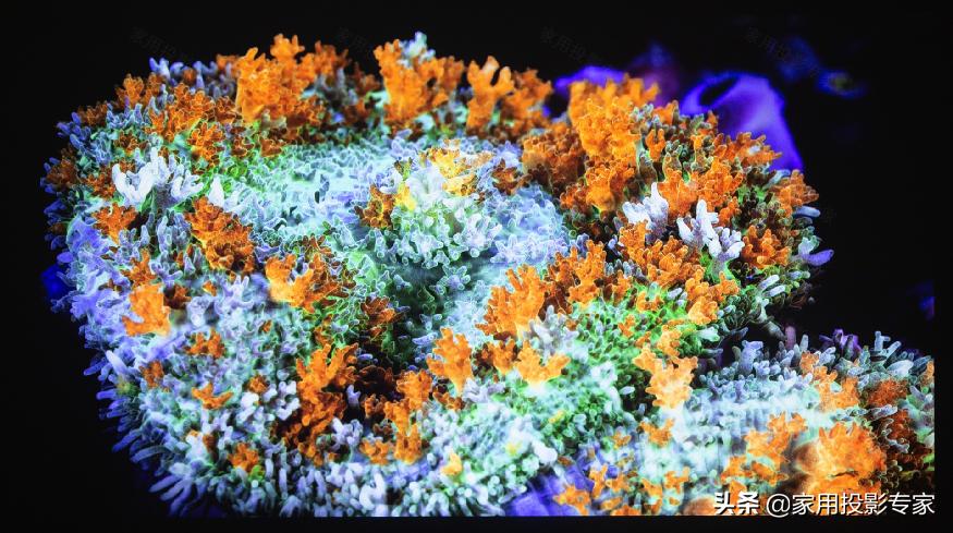 「评测」15万元4K家用激光投影机怎样?看索尼VPL-VW798