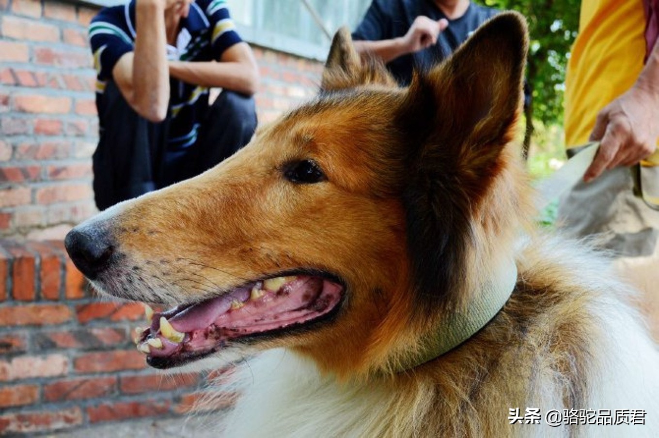 厦门海边之旅,厦门小众旅游体验
