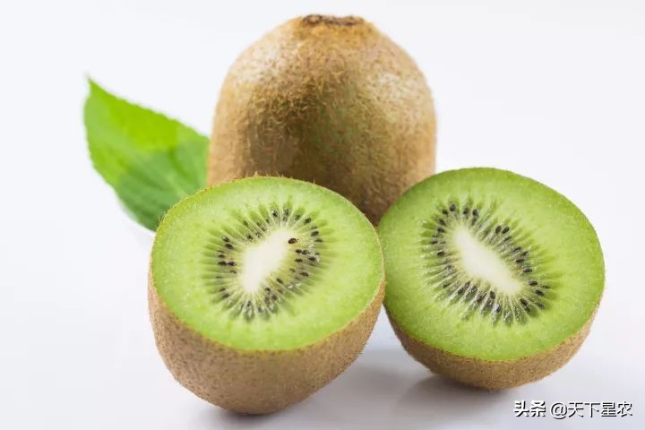 菠萝凤梨樱桃车厘子图,成都车厘子和樱桃的区别