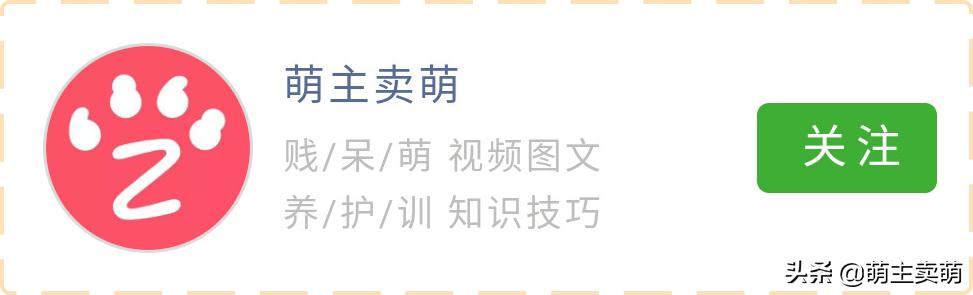 狗狗口水多怎么回事,狗狗口水很黏是怎么回事