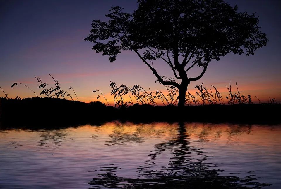 杜甫很短的一首诗却道尽世态炎凉,杜甫揭露现实的诗