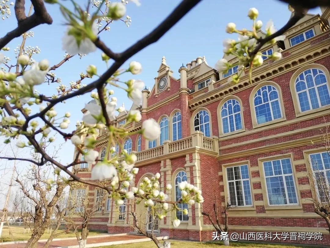 有哪些小众好听的英文名,小众品牌名字英文