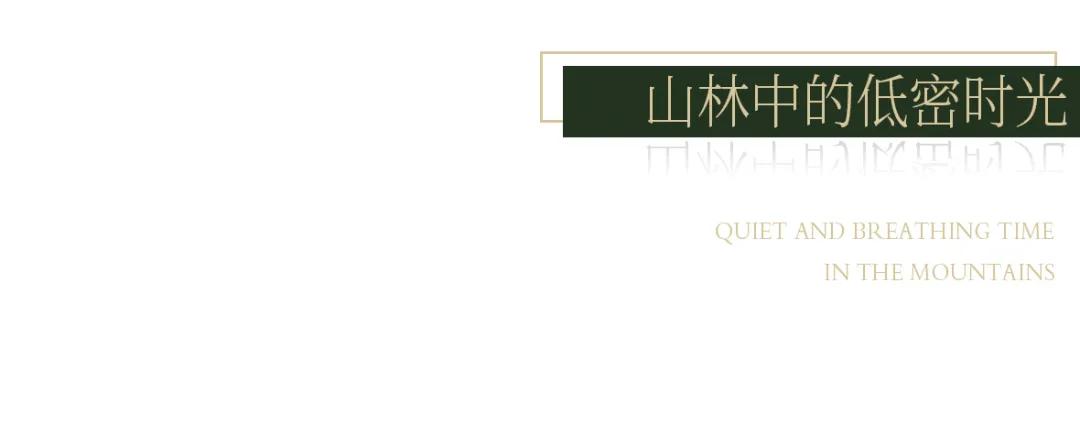山林下的低密时光|重庆中南·玖著天宸/赛肯思景观