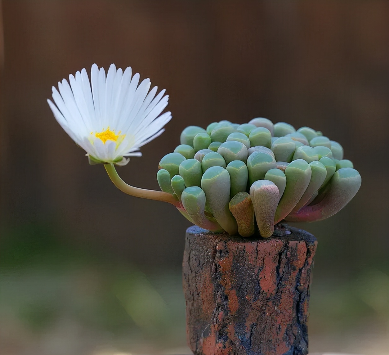 最经典的自嘲诗句,句句戳心的自嘲诗句