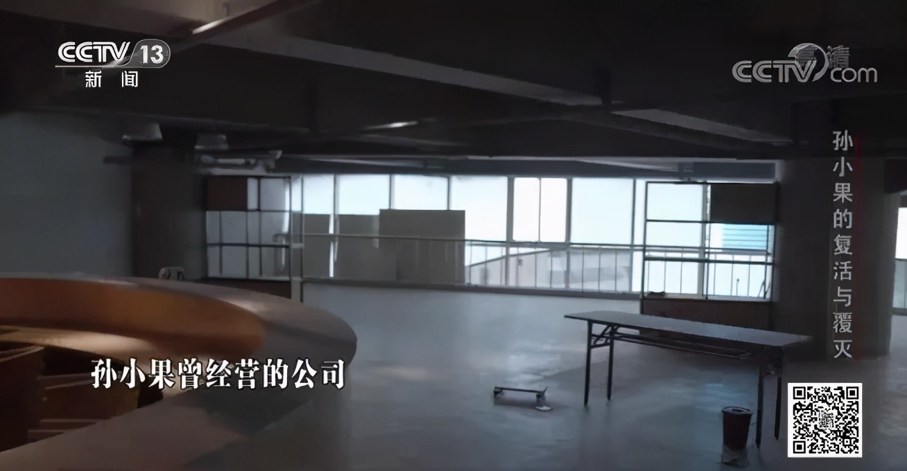 社会与法孙小果,社会评论孙小果