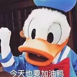 七大姑八大姨来了用什么借口回避,七大姑八大姨应对指南