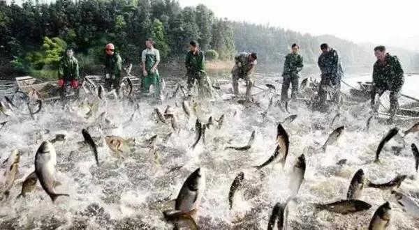 江西十大旅游秘境,春节绍兴去江西十大最美自驾路线