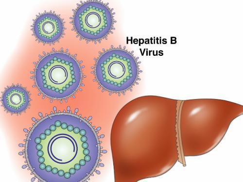 乙肝有纤维化抗病毒了可以逆转吗,有对乙肝很好的疗法吗