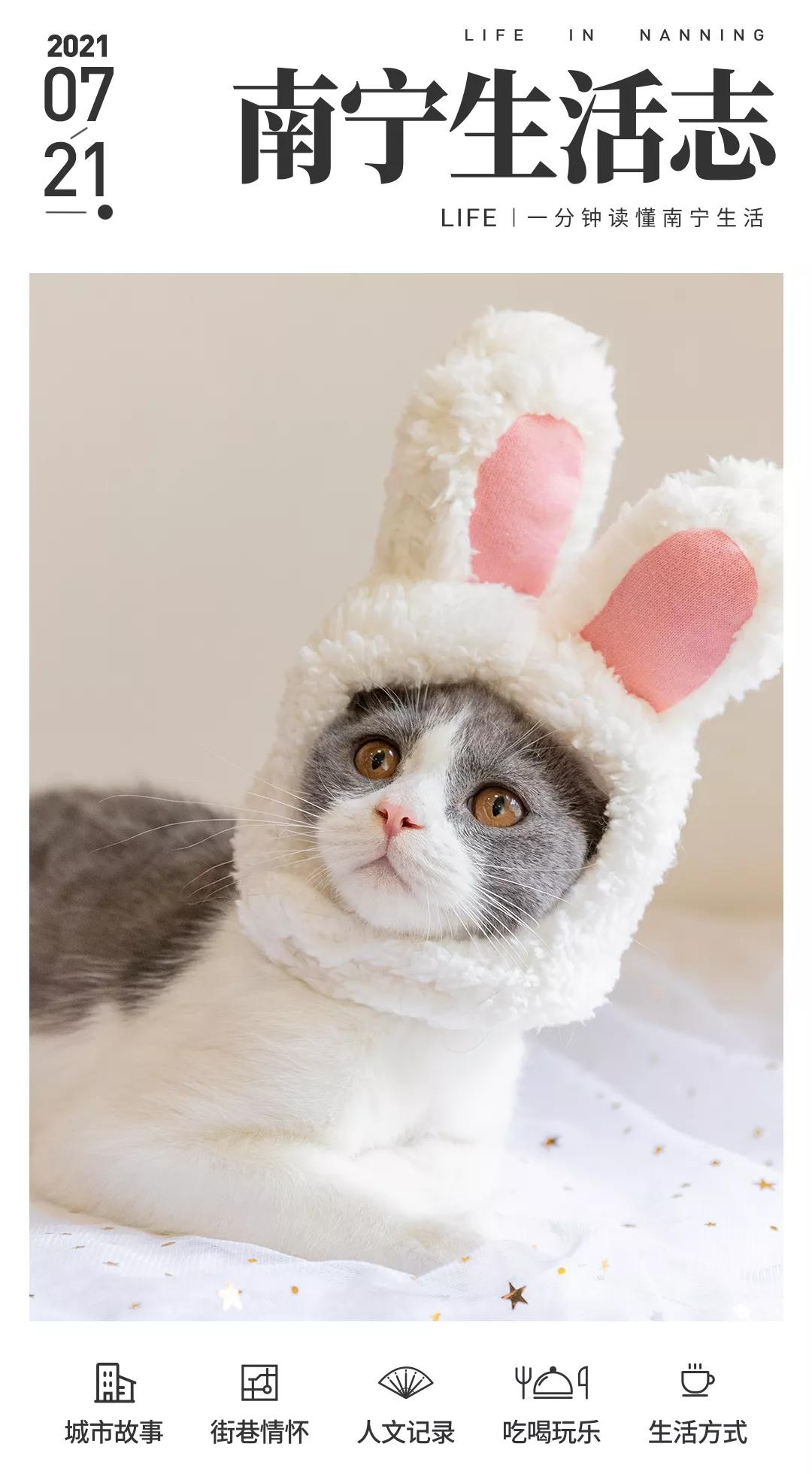 life暴雪嘉年华,life潮跑版