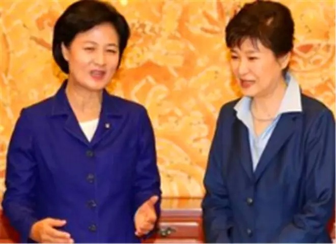 赦免朴槿惠会产生什么影响,朴槿惠被特赦获释