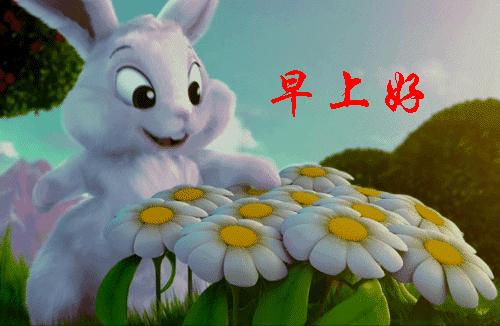 最美早晨问候祝福语图,早晨问候早上好暖心句子图片