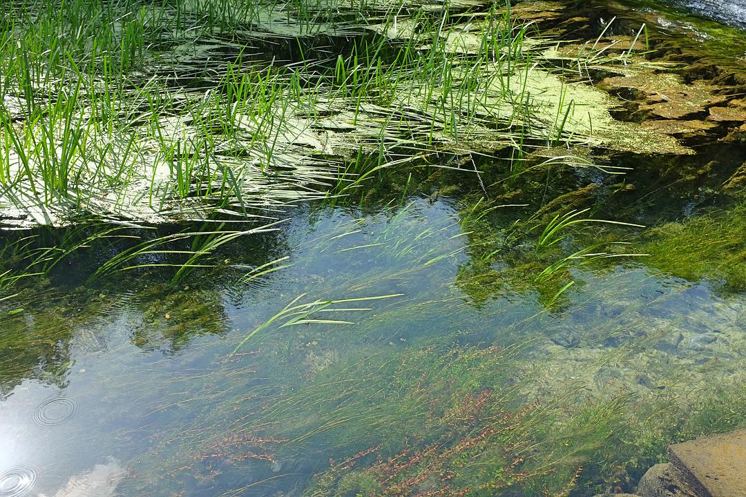 最强路亚假饵雷蛙的绑法,路亚雷强为什么都用雷蛙
