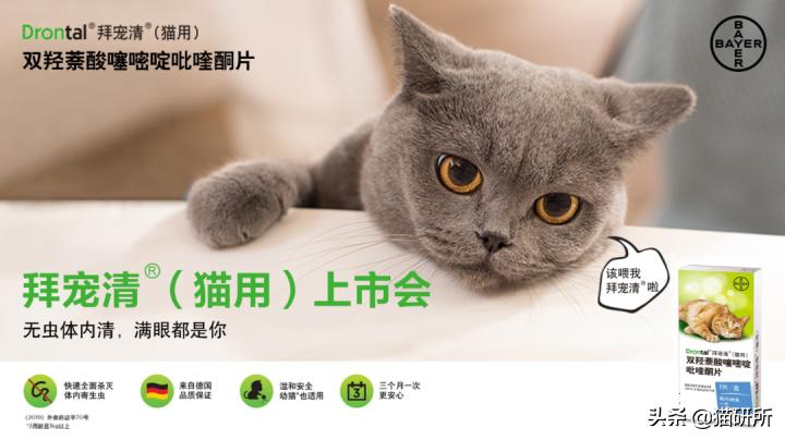 如何辨别真假兽药视频教程,3个方面教你鉴别真假兽药