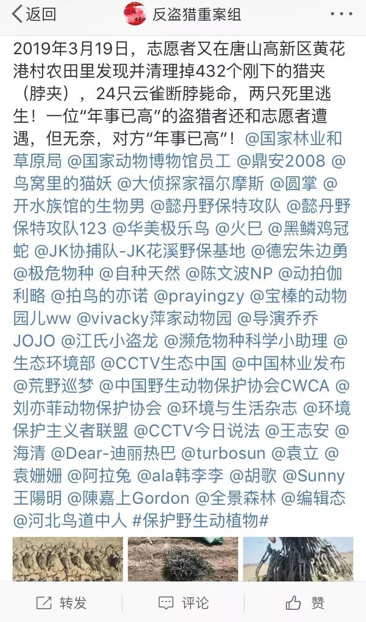 从禾花雀到云雀,又一种鸟快被中国人吃绝种了!