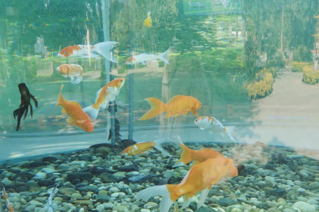 在动物园散步才是正经事|暴走福州