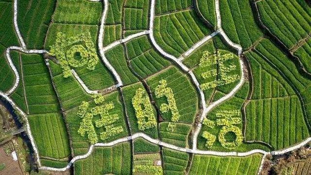 新款东风本田ur-v官图,全新东风本田ur-v将于今晚上市