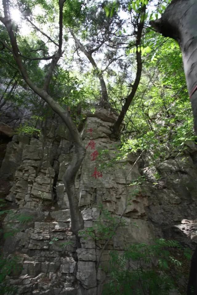 今年的十一长假出游人数会多吗,终于迎来了十一小长假