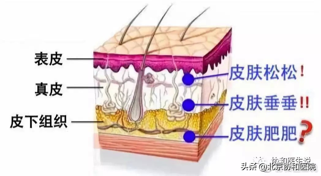 40岁的女人整形手术,40岁女性适合的身体整形医美项目