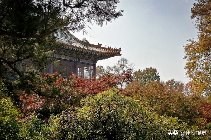 龙蟠虎绕风水宝地,龙蟠紫金山