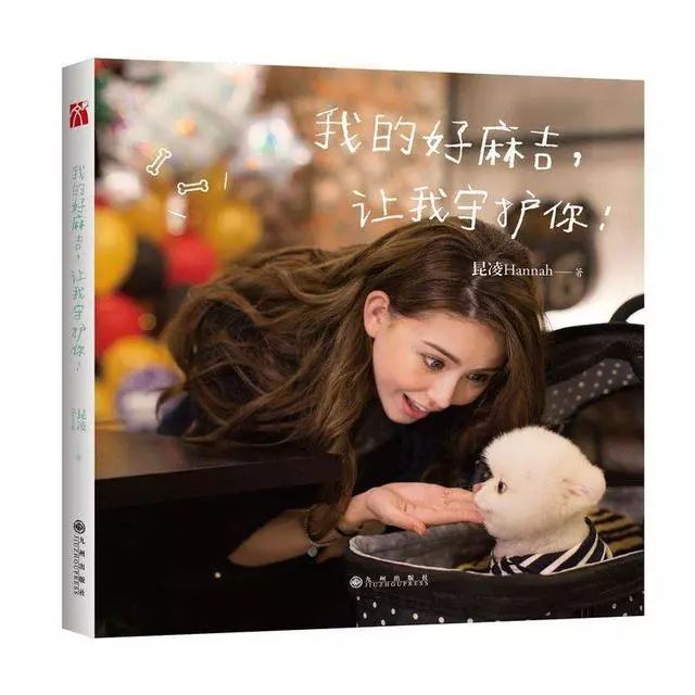 胡歌养的5只什么猫,胡歌的宠物猫