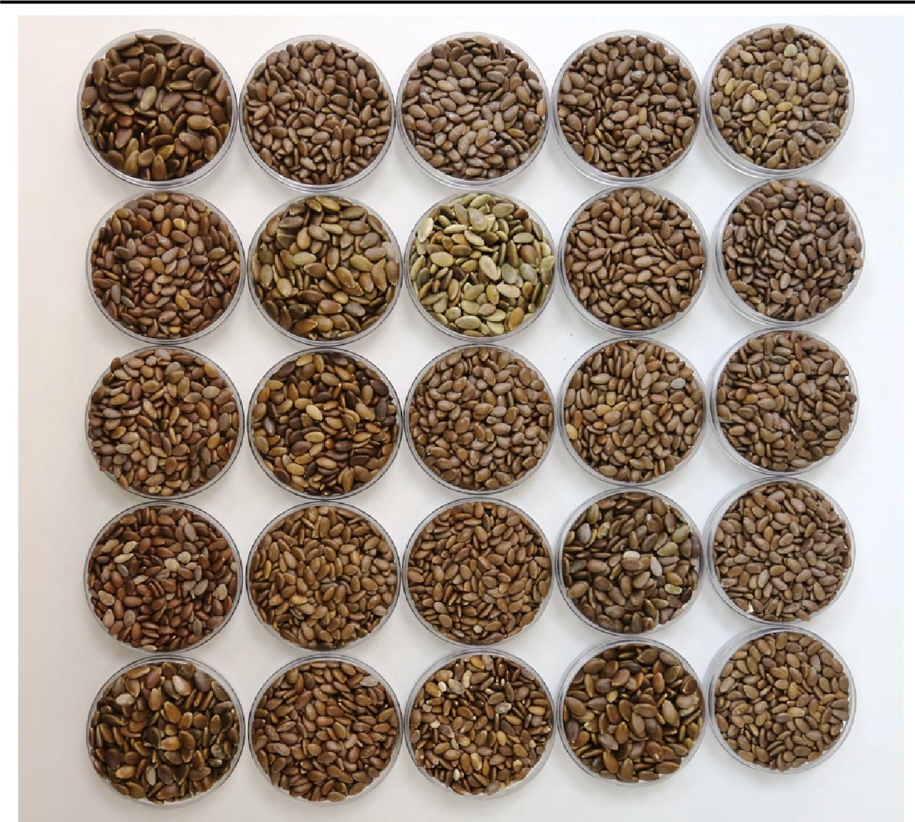 沙漠里有西瓜为何无人敢吃,沙漠里遍地是西瓜为何无人敢吃