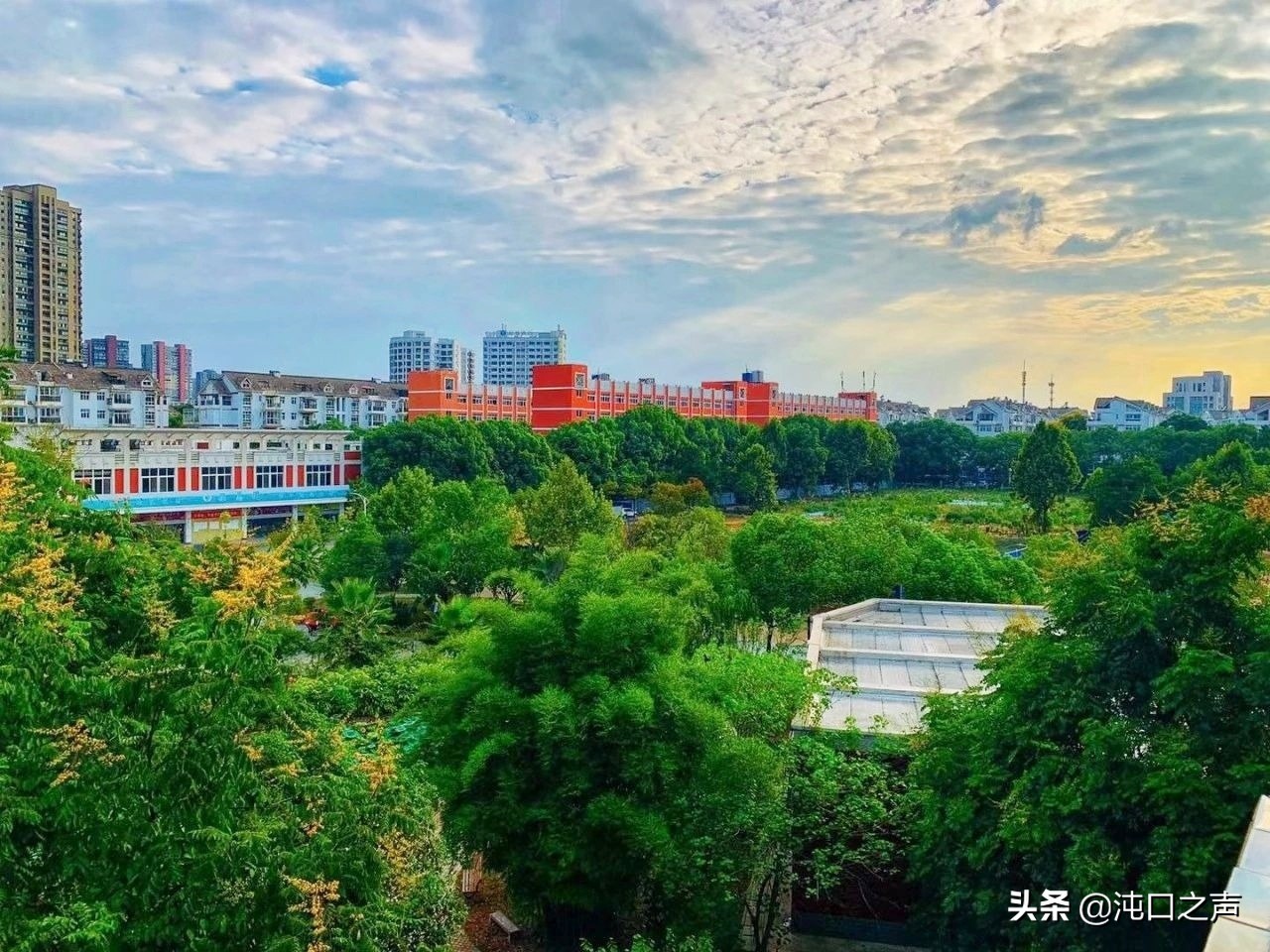 武汉经济开发区第一高中,武汉开发区一中是初中还是高中