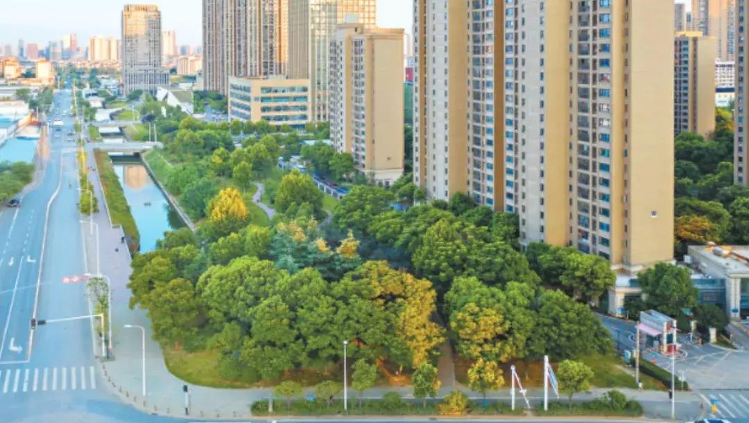 红桥力量|飞花点翠簇拥“精致汉阳”“高颜值”凸显生态宜居
