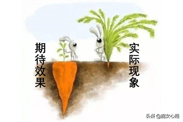 这样使用A醇产品，既能抗皱淡纹，又不伤害皮肤