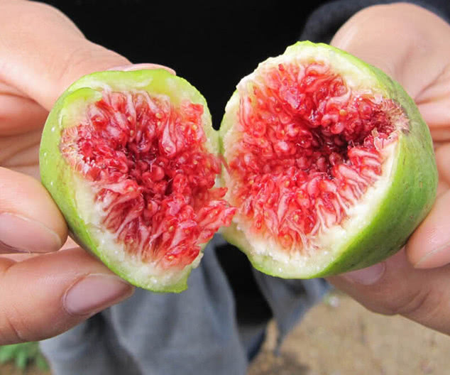 频繁长痘女性应该怎么去应付