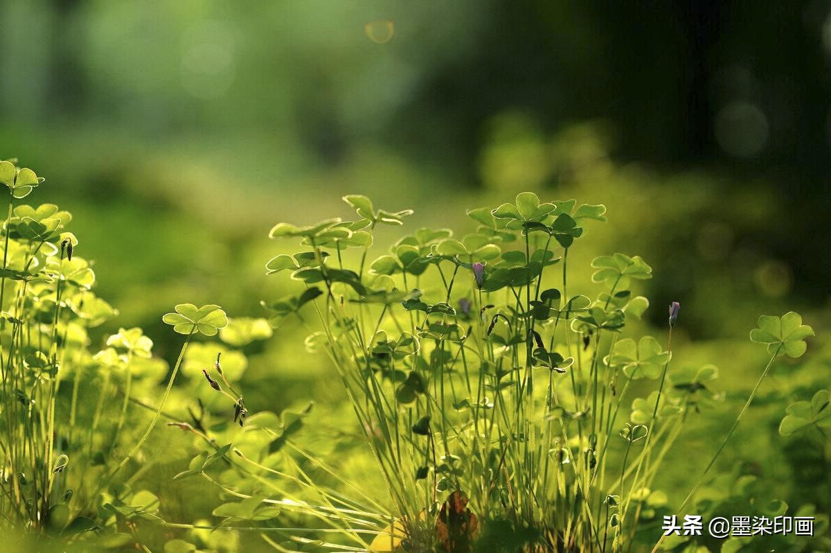 如何让拍出来的照片不灰蒙蒙,白天拍摄暗调照片的技巧