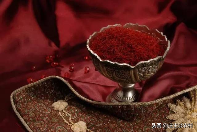 十大顶级土豪食材,世界最昂贵的十大食材排行榜