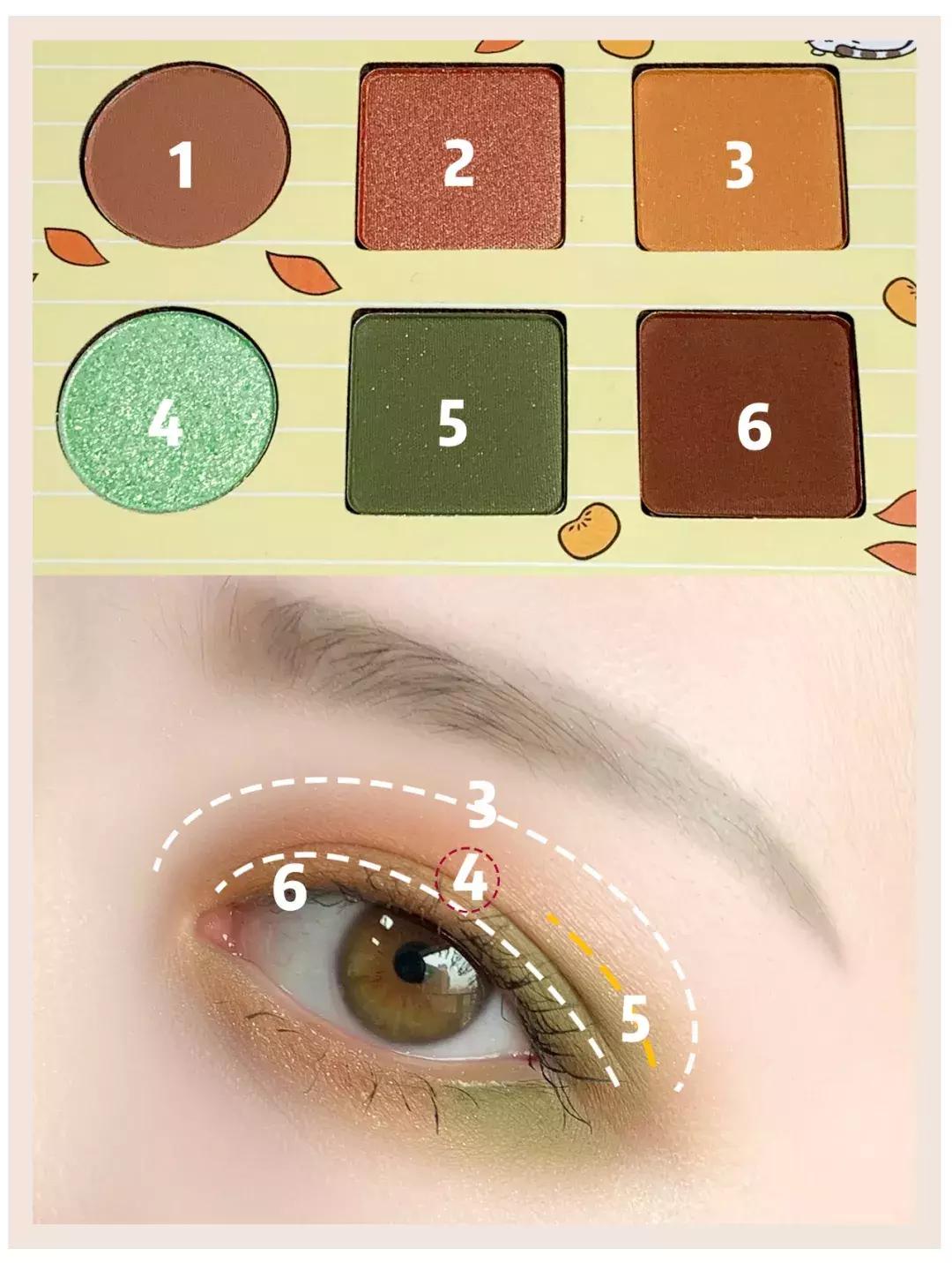 venusmarble九色眼影测评,橘朵的单色眼影新版和旧版对比