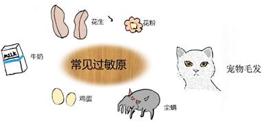 「掌健识」过敏性哮喘