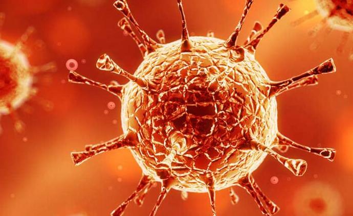 有哪些全国性哀悼日,全国性哀悼活动