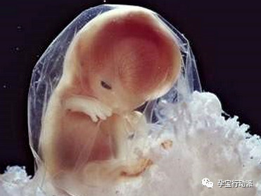 孕期记录十月,宝妈孕周刊