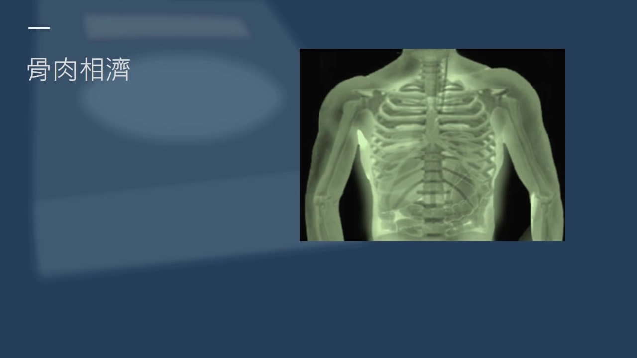 骨肉相连怎么解释,骨肉相连手法技巧