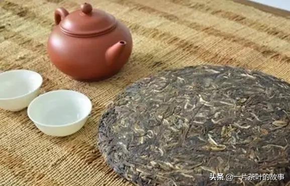 有茶虫的茶叶好吗,如何看茶叶是否有茶虫病