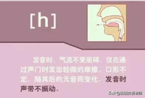 基础英语48个国际音标详解，赶紧来学习！