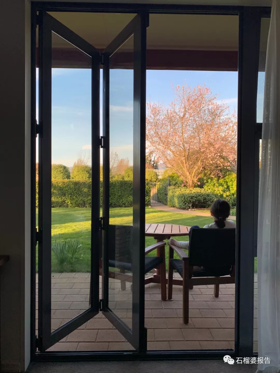 旅行7天,七天游记的视频在线观看全集高清