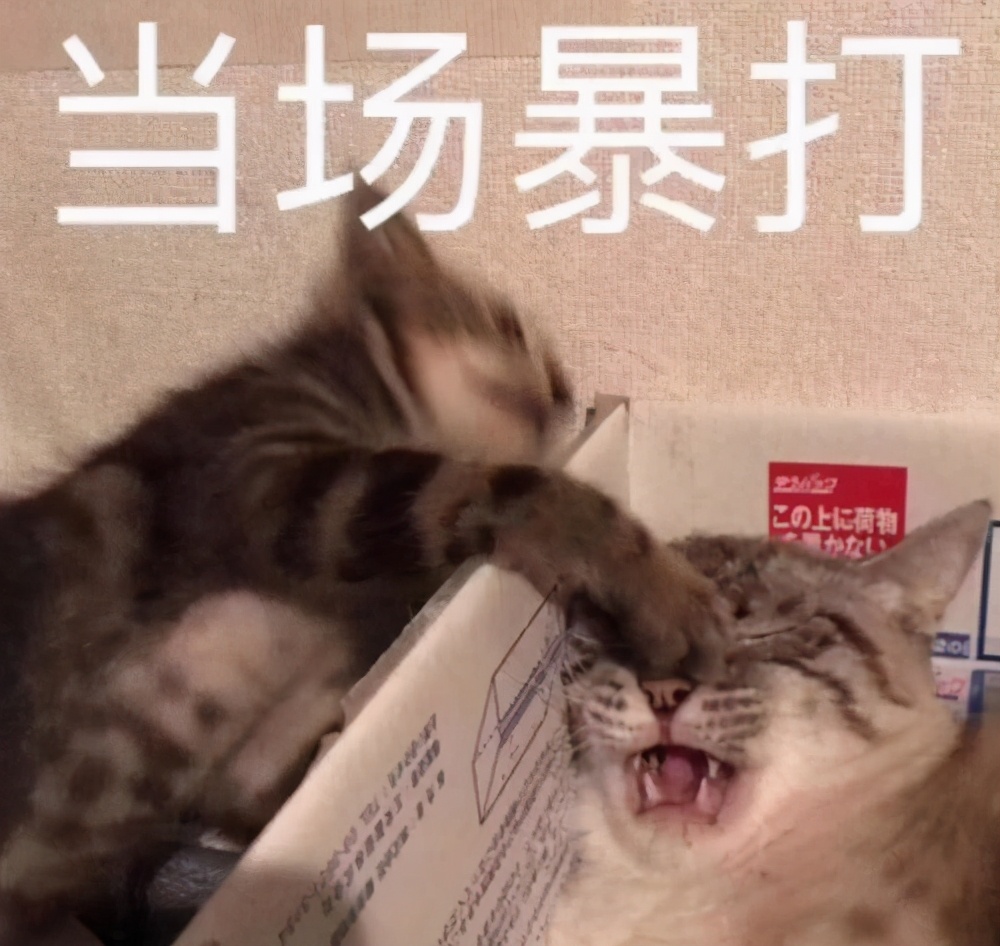 在留学行李箱中,你最后悔从内地带去的东西是什么?