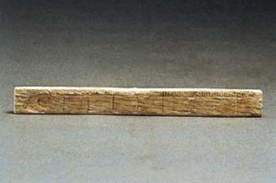 三国古墓出土的骨骼身高多少,考古发现春秋战国时期的将军尸体