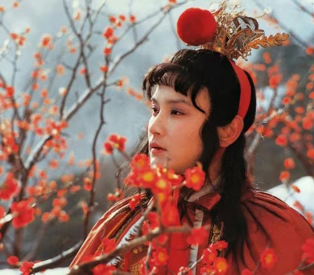 贾宝玉衣着打扮特征,贾宝玉房间陈设