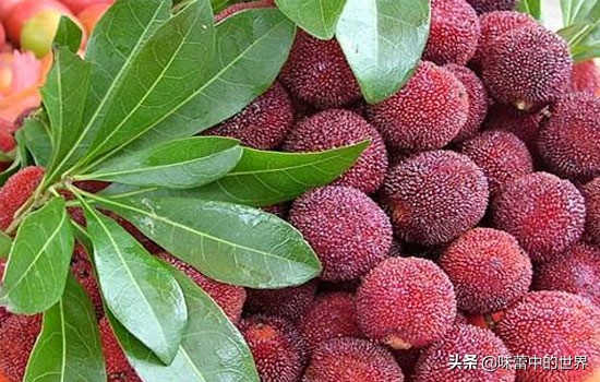 安徽池州枞阳县特产,池州有什么特产和好吃的